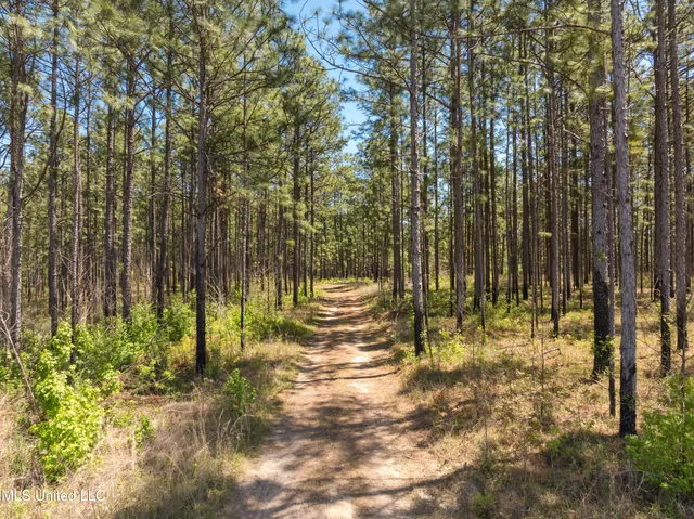 $2,284,750 | 703 Purvis To Baxterville Road, Purvis, MS 39475