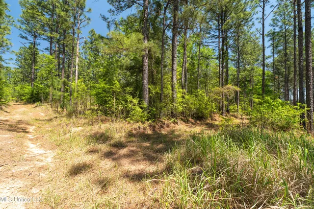 $2,284,750 | 703 Purvis To Baxterville Road, Purvis, MS 39475