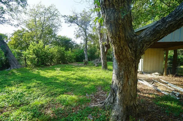 a view of a trees in a yard