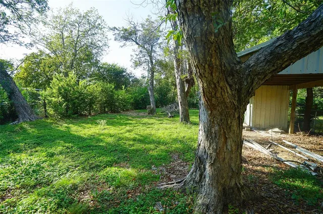 a view of a trees in a yard