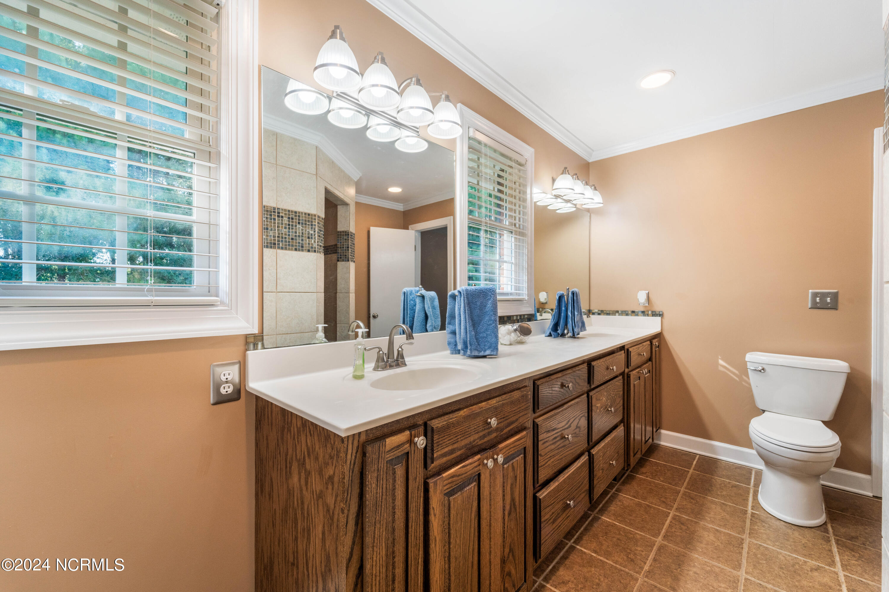 973 Fountaintown Road Beulaville, NC 28518 - Photo 52 of 94 Master Bathroom
