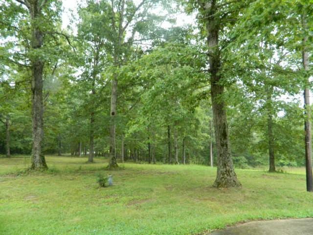 2304 Wolfe Road White Bluff, TN 37187 - Photo 18 of 20 Gallery Image 18