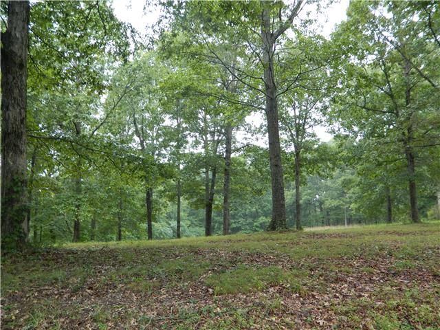 2304 Wolfe Road White Bluff, TN 37187 - Photo 19 of 20 Gallery Image 19