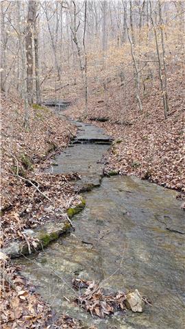 2304 Wolfe Road White Bluff, TN 37187 - Photo 20 of 20 creek