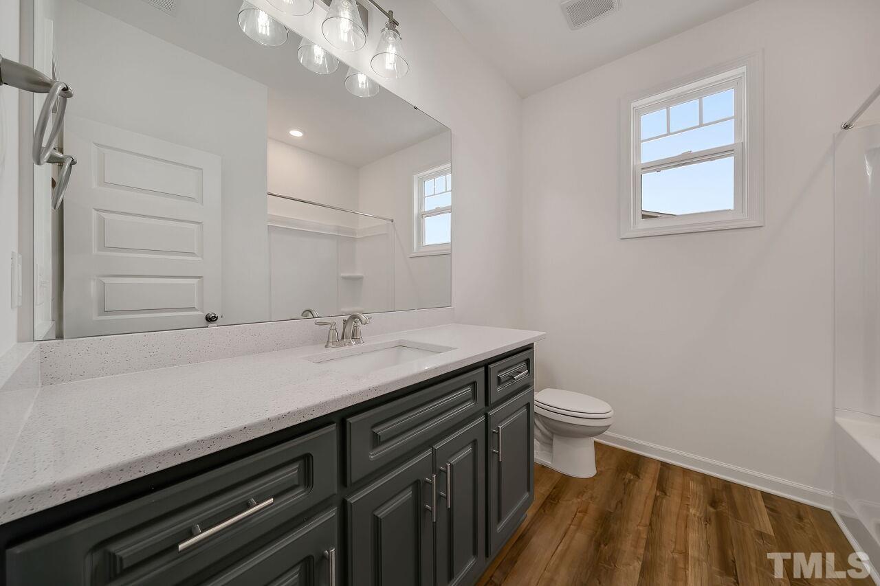 4066 Needham Road Bailey, NC 27807 - Photo 19 of 25 a bathroom with a sink a toilet and a mirror