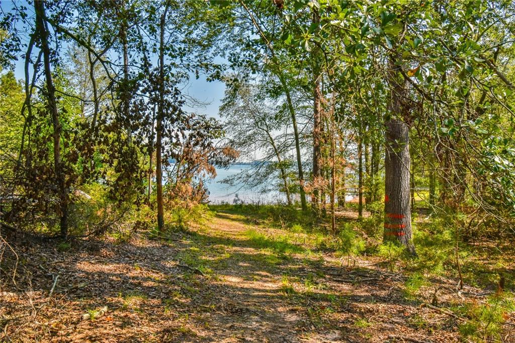 935 Powderbag Creek Road Hartwell, GA 30643 - Photo 35 of 38