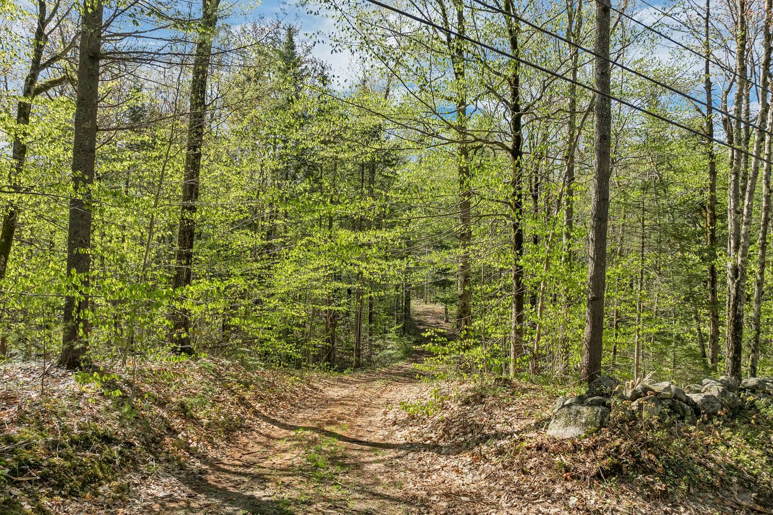 113 Federal Corner Road Tuftonboro, NH 03816 - Photo 13 of 23 Gallery Image 13