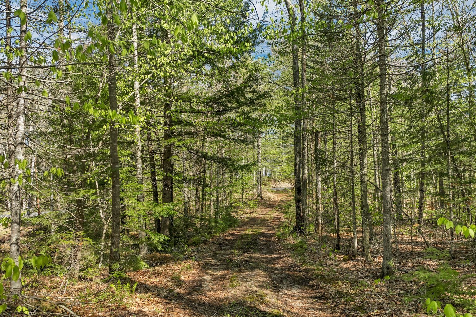 113 Federal Corner Road Tuftonboro, NH 03816 - Photo 15 of 23 Gallery Image 15