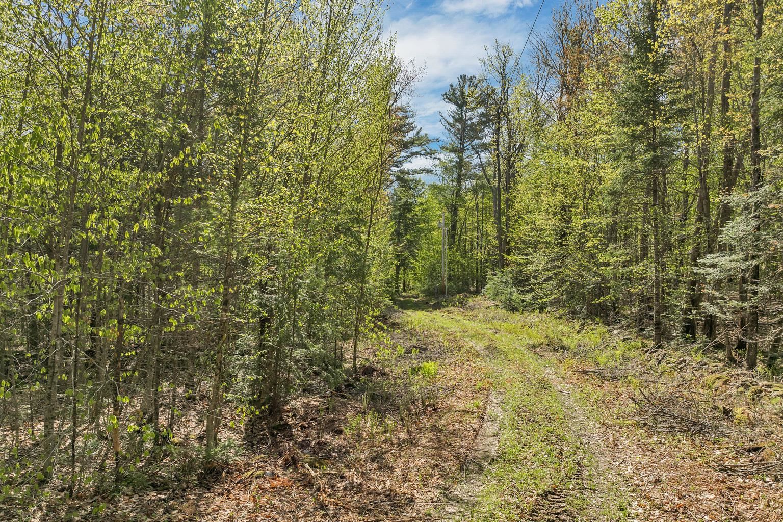 113 Federal Corner Road Tuftonboro, NH 03816 - Photo 16 of 23 Gallery Image 16
