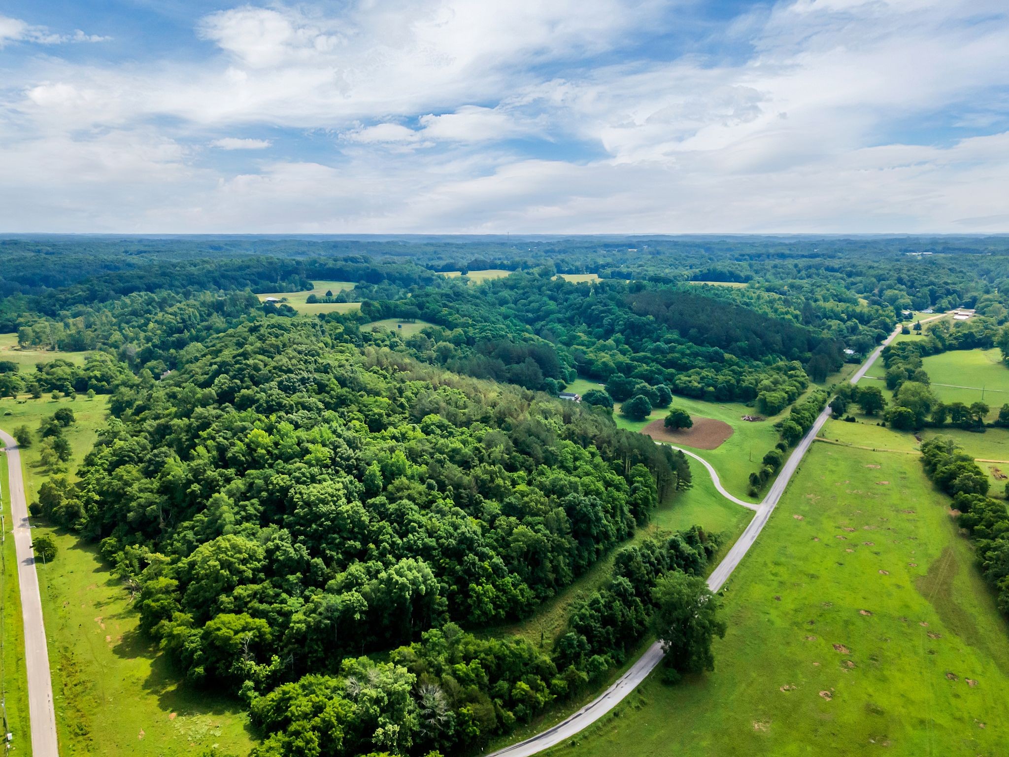 1764 Wray Branch Road Minor Hill, TN 38473 - Photo 6 of 28