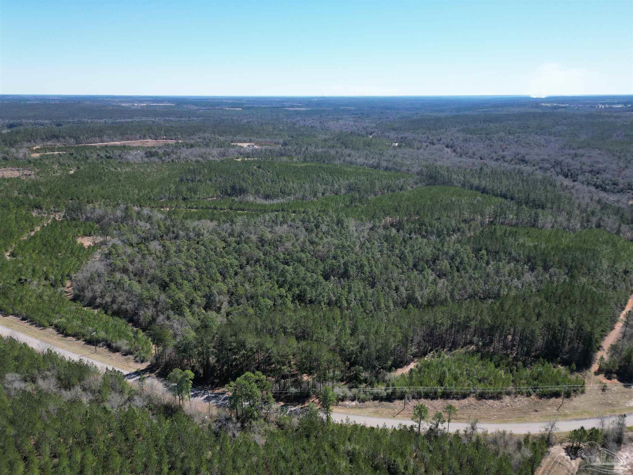 7 Robinsonville Road Atmore, AL 36502 - Photo 12 of 26 a view of a lush green field with lots of bushes