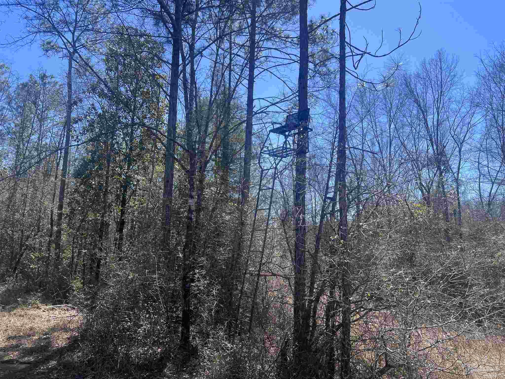 7 Robinsonville Road Atmore, AL 36502 - Photo 18 of 26 a backyard of a house with lots of green space