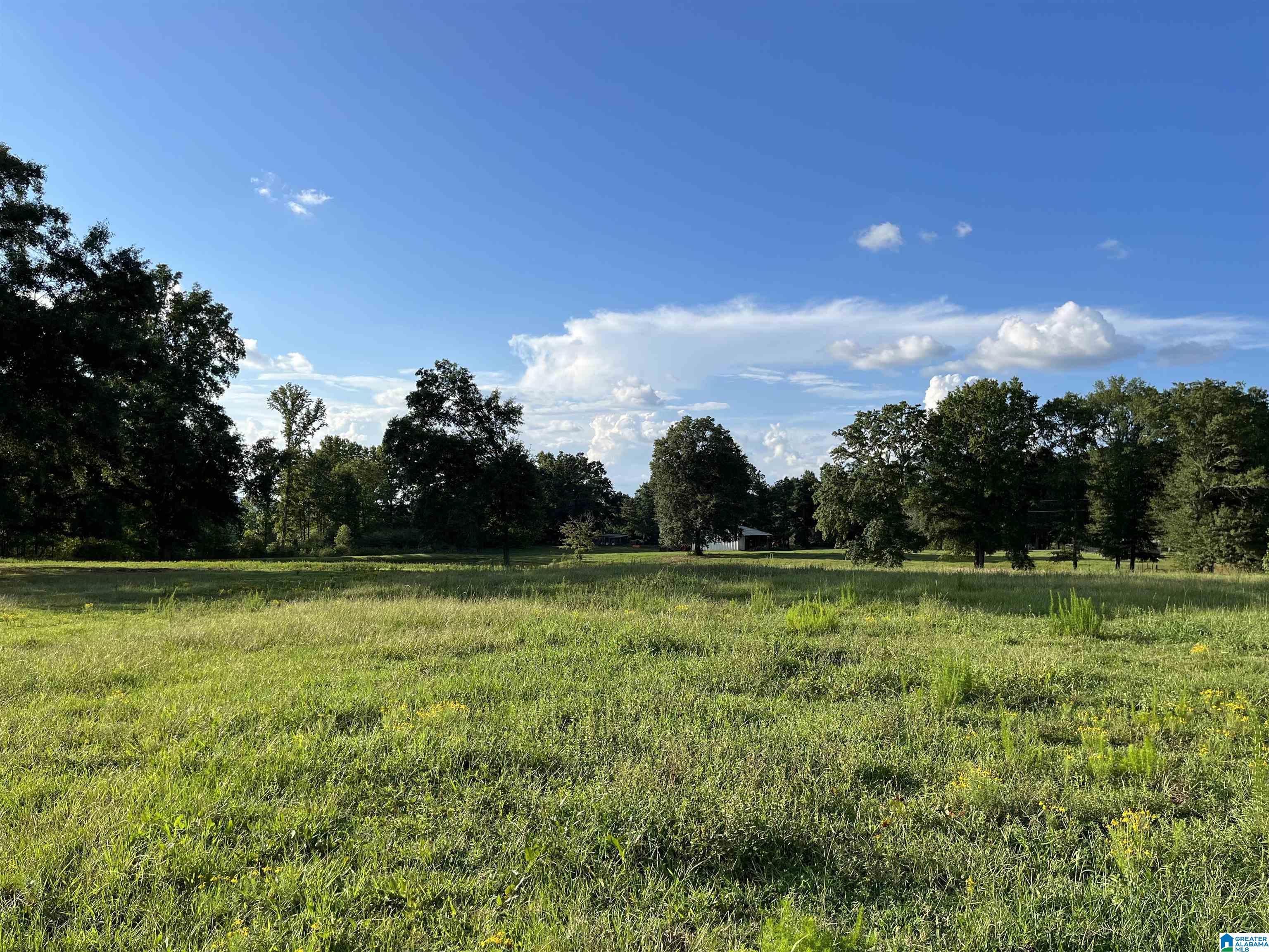 1661 Honeycutt Road Locust Fork, AL 35097 - Photo 4 of 49