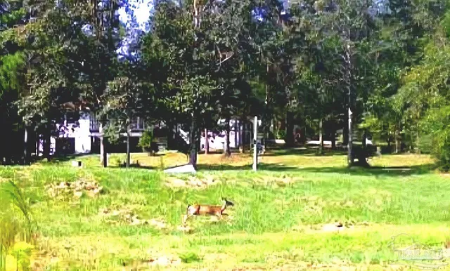 $785,000 | 2181 Windham Drive, Molino, FL 32577