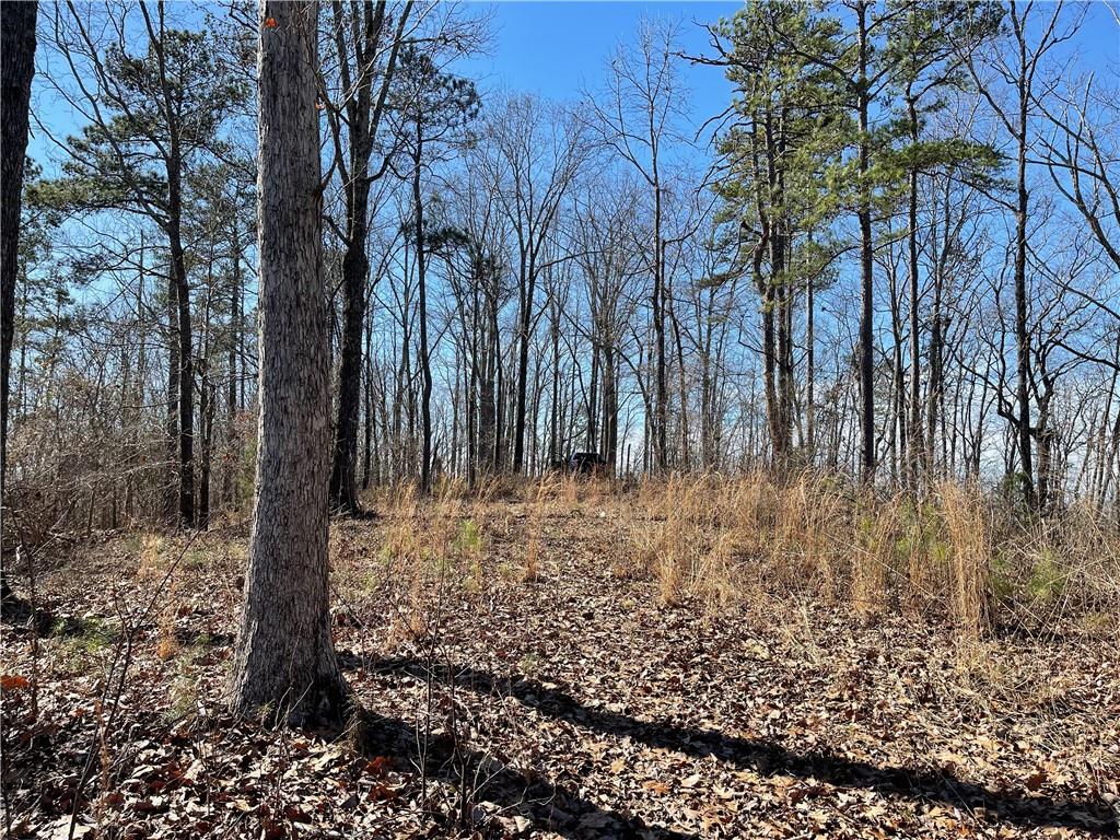 A Johnson Lake Road, Unit 0A Cedartown, GA 30125 - Photo 6 of 19 a view of a yard with trees