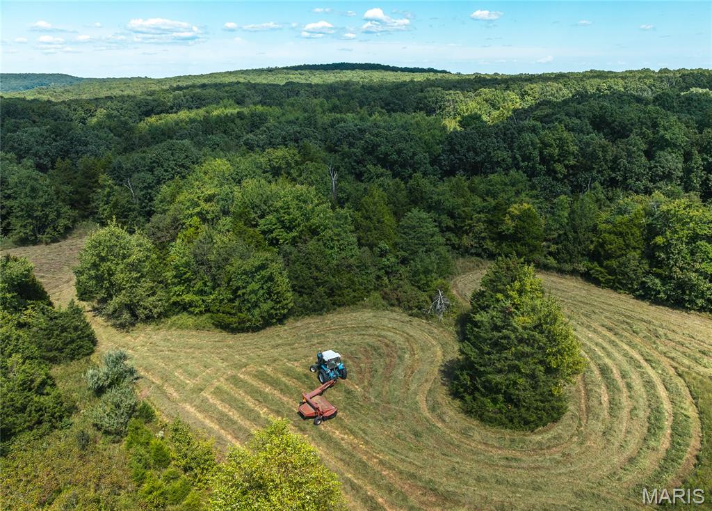 4 Buck Mountain Road Ironton, MO 63650 - Photo 17 of 27