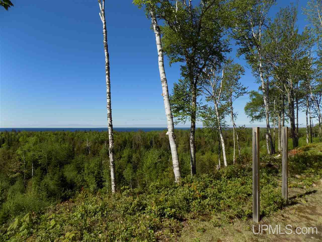 Tbd Northshore Bluffs Road, Unit 4 Manistique, MI 49854 - Photo 16 of 21