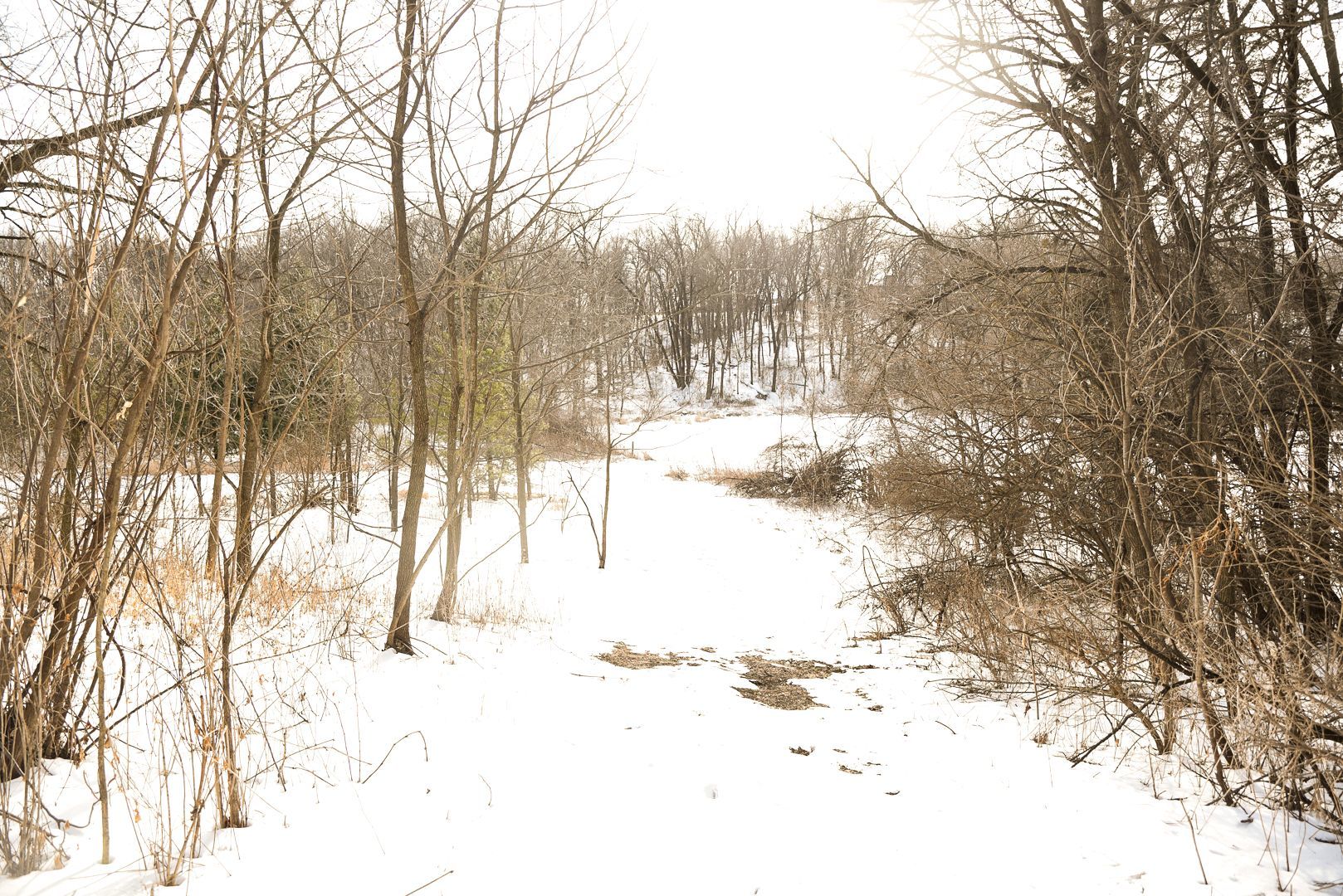 905 Stony Point Road Dixon, IL 61021 - Photo 11 of 20