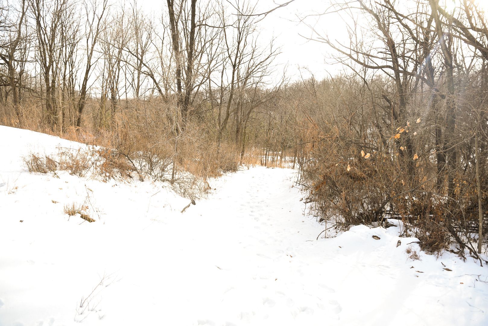 905 Stony Point Road Dixon, IL 61021 - Photo 13 of 20