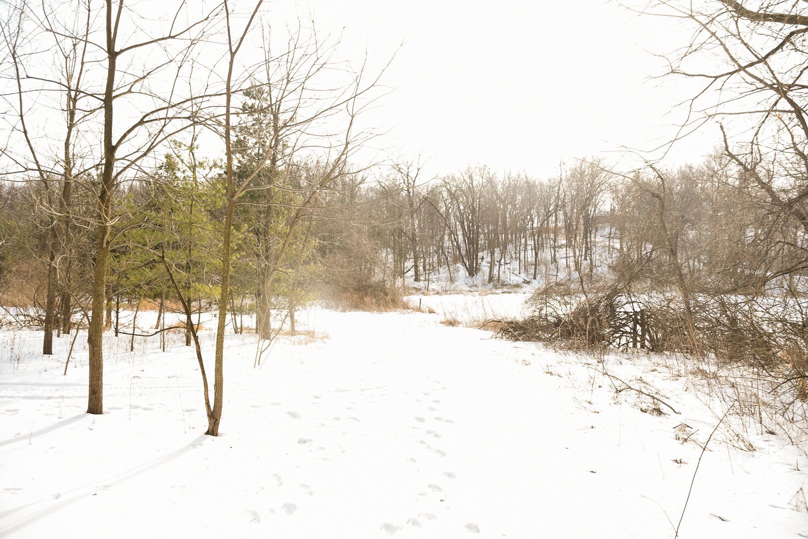 905 Stony Point Road Dixon, IL 61021 - Photo 14 of 20