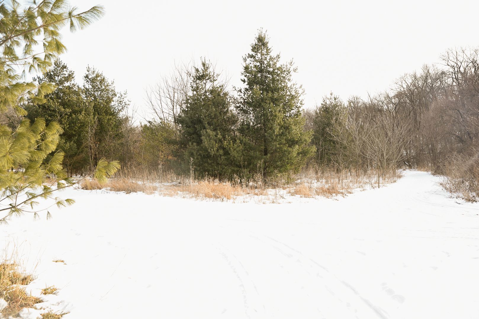 905 Stony Point Road Dixon, IL 61021 - Photo 16 of 20