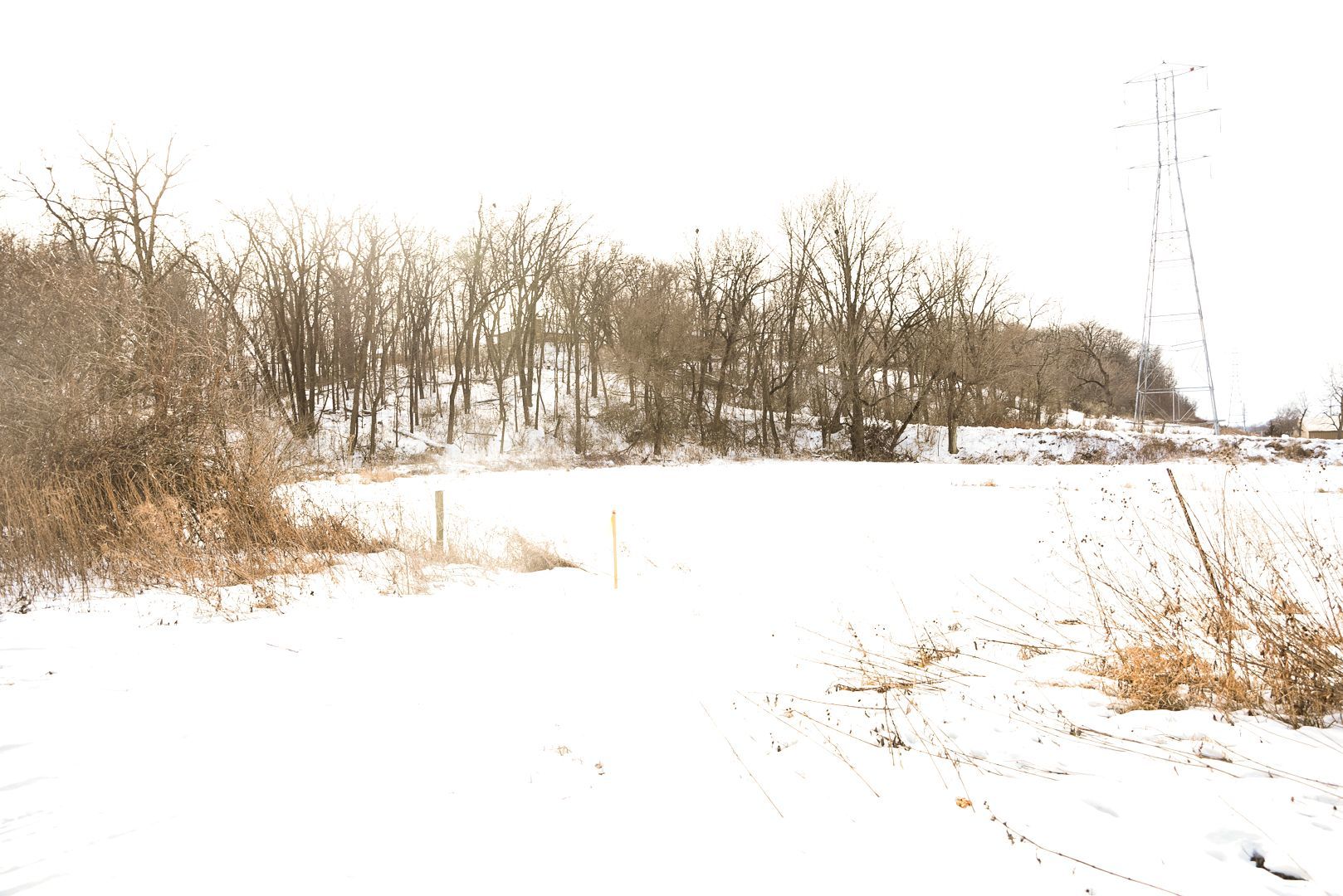 905 Stony Point Road Dixon, IL 61021 - Photo 17 of 20