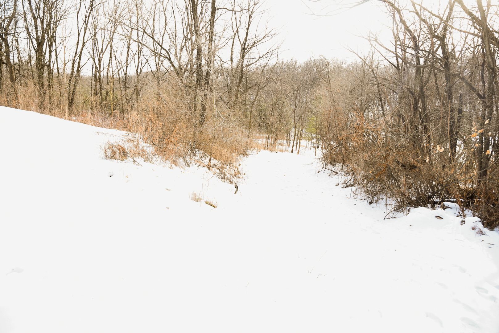905 Stony Point Road Dixon, IL 61021 - Photo 9 of 20