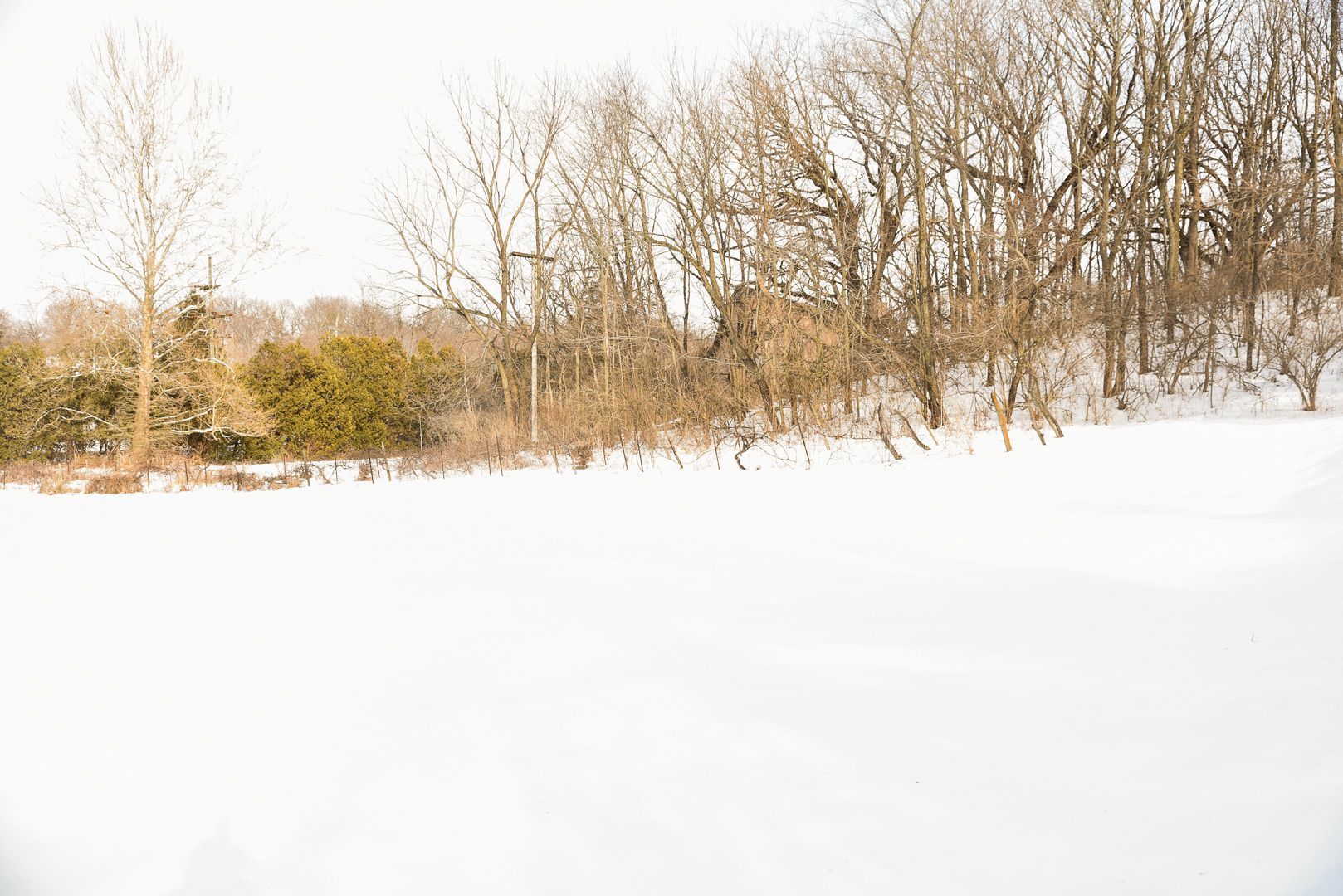 905 Stony Point Road Dixon, IL 61021 - Photo 10 of 20