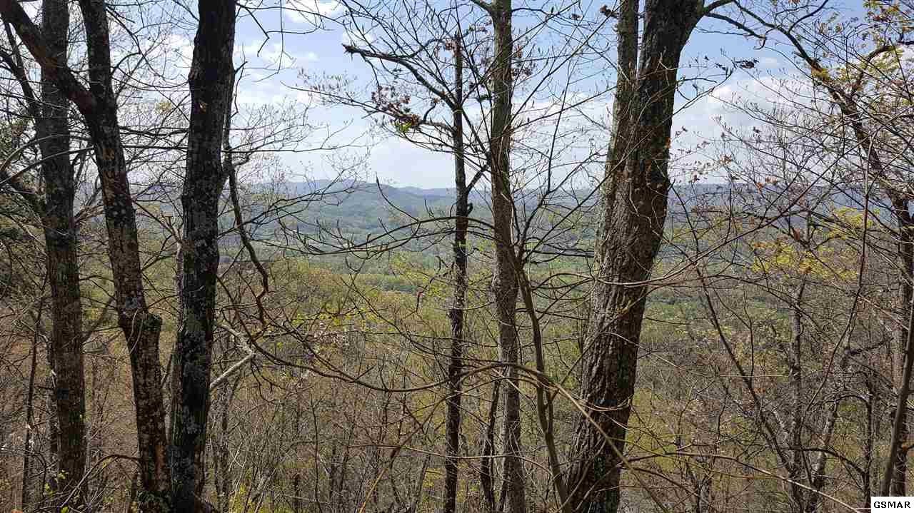 21 Cove Mountain Road Sevierville, TN 37862 - Photo 2 of 21 Gallery Image 2