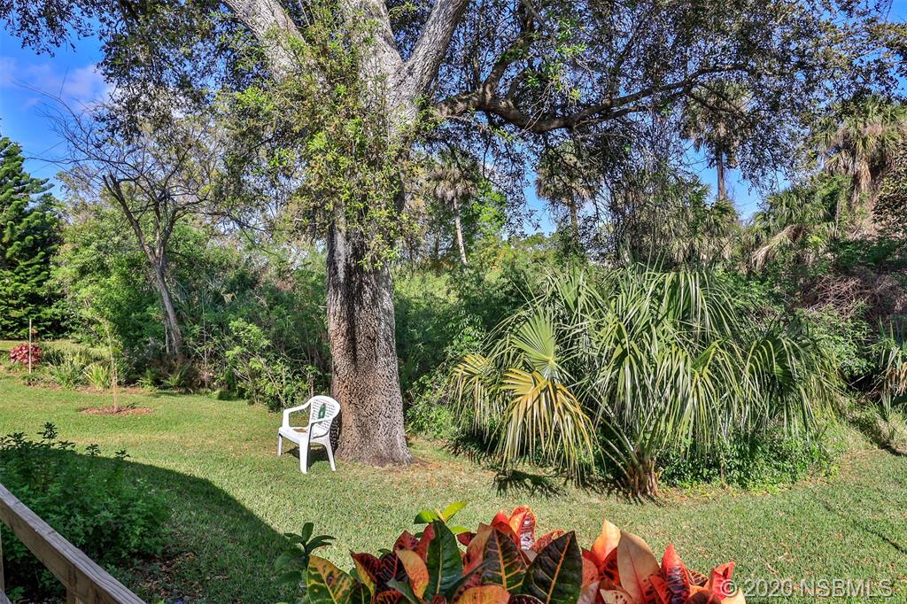 817 Starboard Avenue Edgewater, FL 32141 - Photo 5 of 28 Gallery Image 5