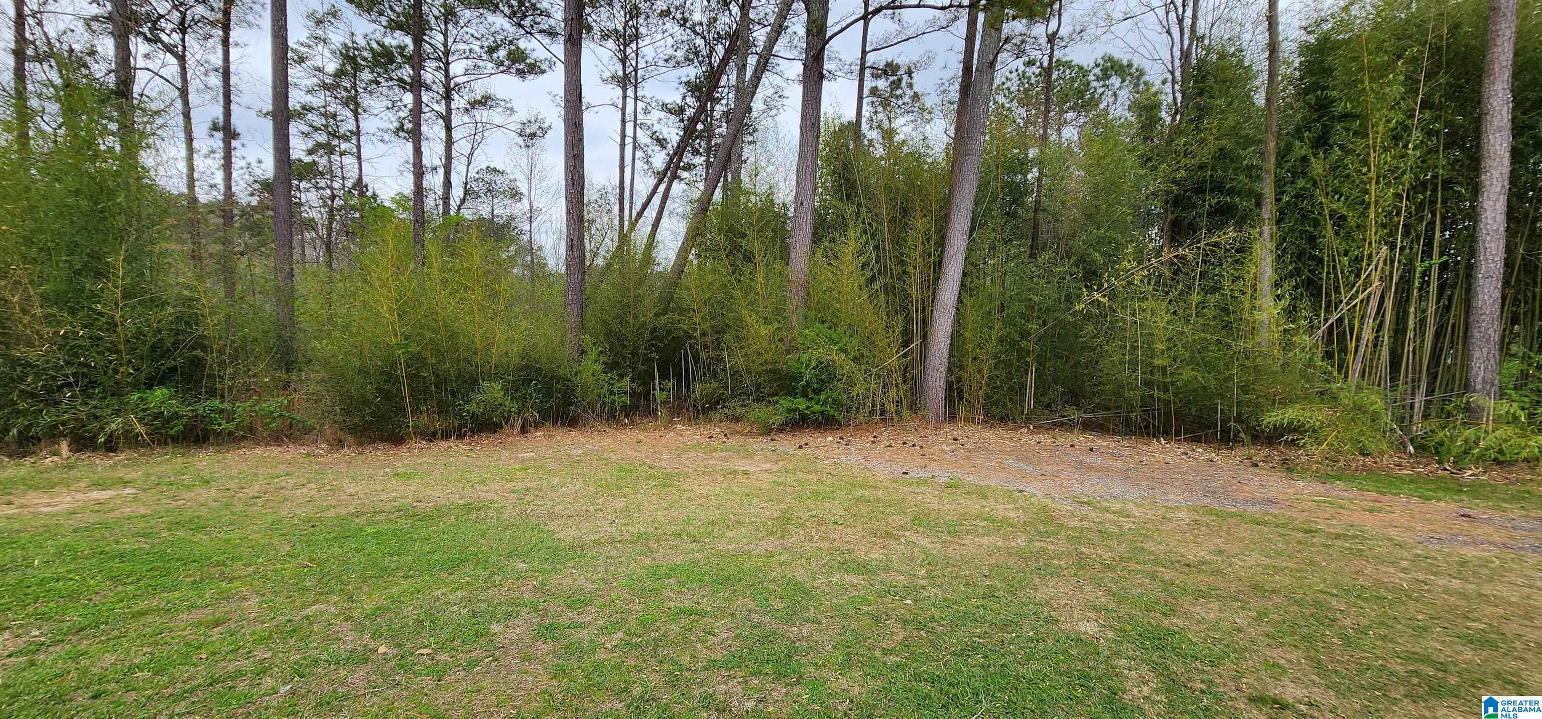 250 Martin Drive Oneonta, AL 35121 - Photo 7 of 40