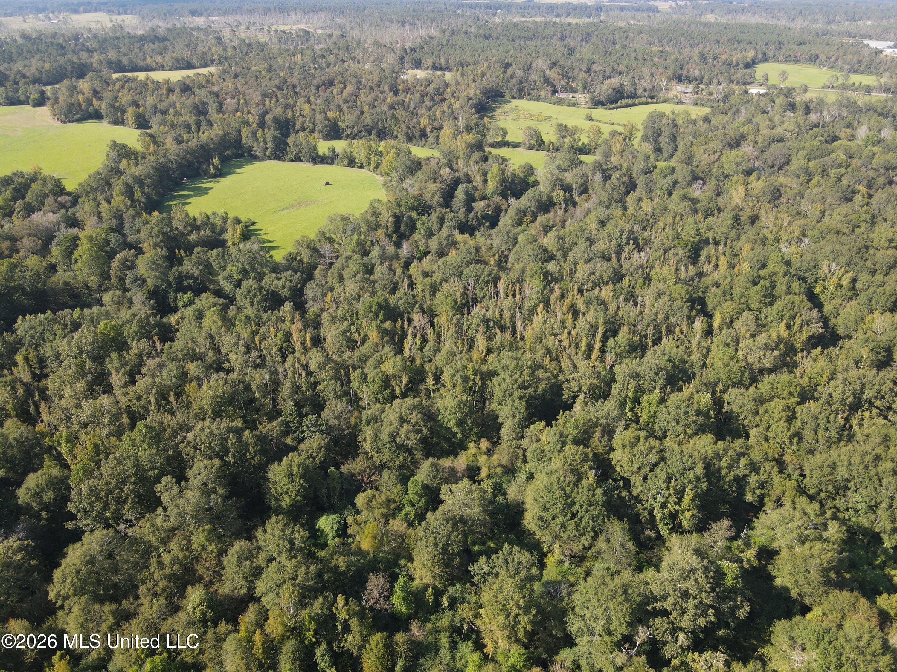 Busby Trail Brookhaven, MS 39601 - Photo 15 of 24 42763