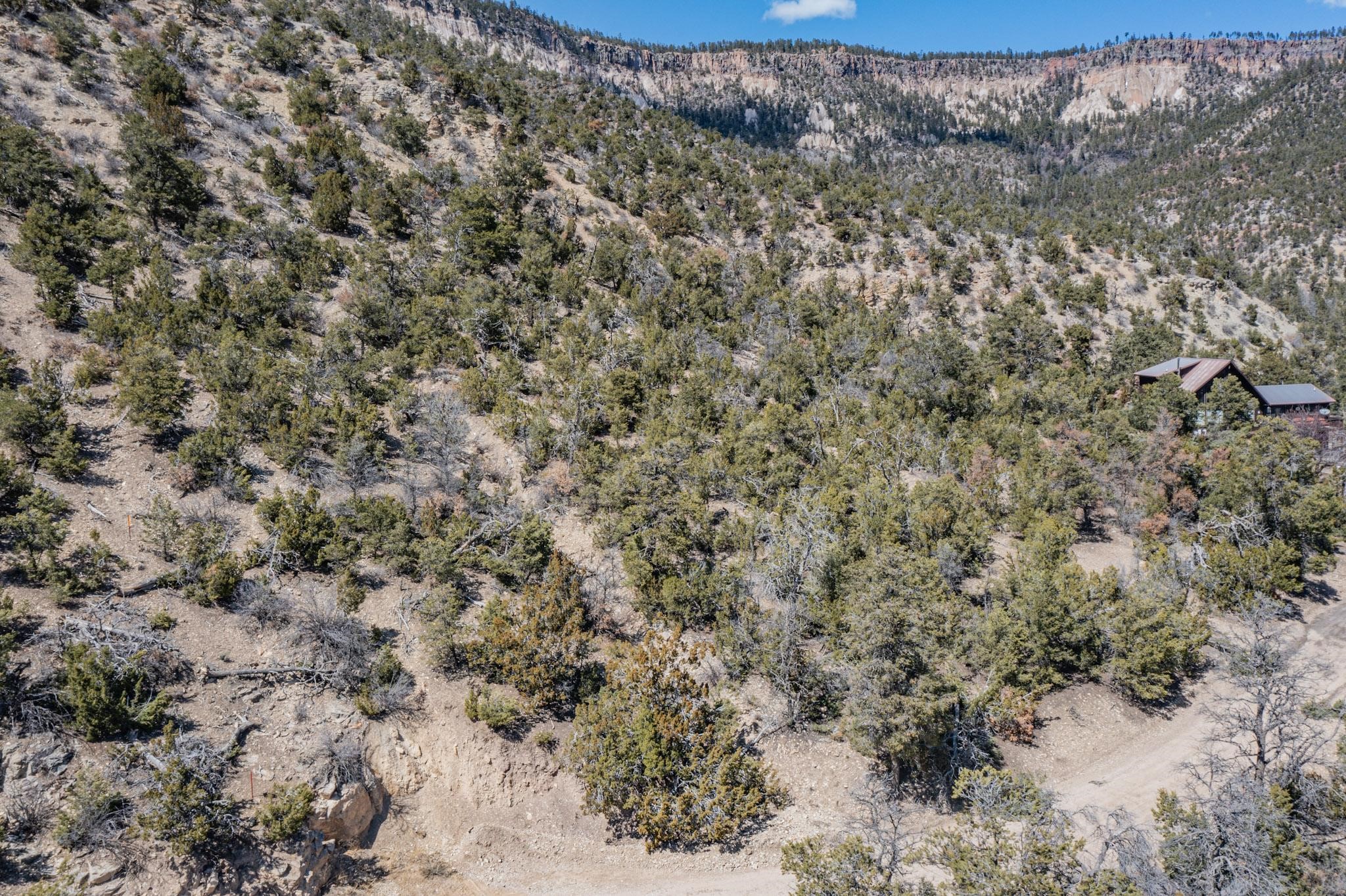 45 A Banco Bonito Road Jemez Springs, NM 87025 - Photo 11 of 17