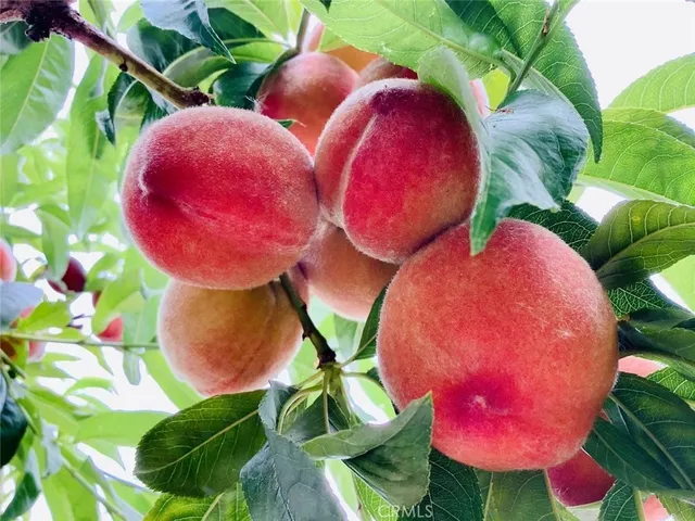 $2,500,000 | Undisclosed Address, Gardena, CA 90249