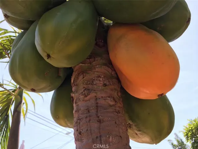 $2,500,000 | Undisclosed Address, Gardena, CA 90249