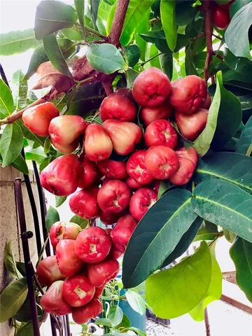 $2,500,000 | Undisclosed Address, Gardena, CA 90249