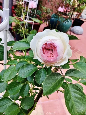 $2,500,000 | Undisclosed Address, Gardena, CA 90249