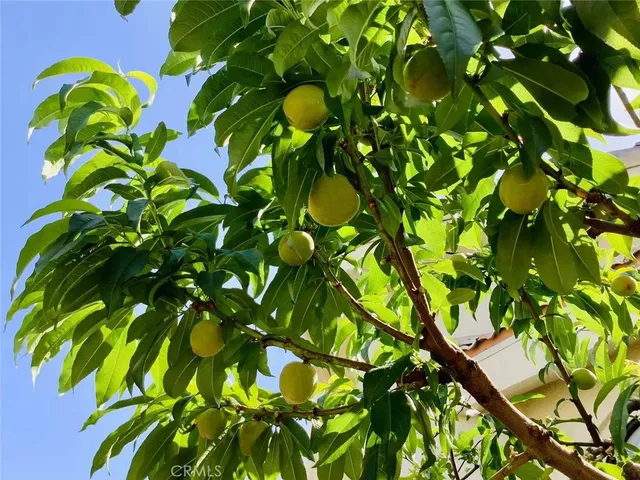 $2,500,000 | Undisclosed Address, Gardena, CA 90249