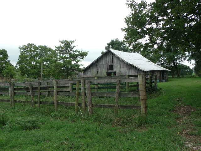 1604 Lemons Mill Road Georgetown, KY 40324 - Photo 12 of 14 Photo 12