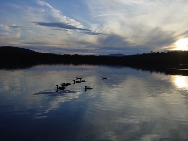 202 Quimby Pond Road Rangeley, ME 04970 - Photo 25 of 39 Quimby Pond