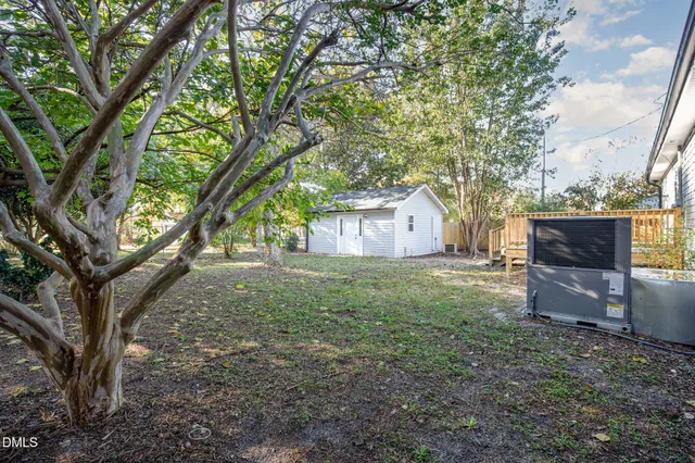 a small garden covered with tall trees