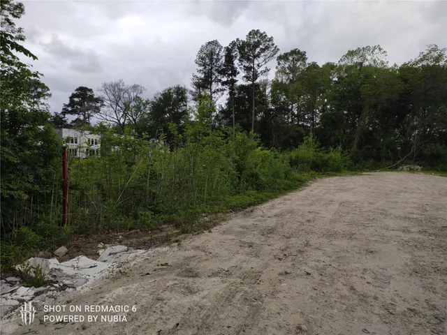 a view of a dry yard with trees in the background