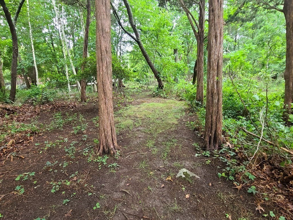 87 Narrows Road Freetown, MA 02702 - Photo 25 of 37