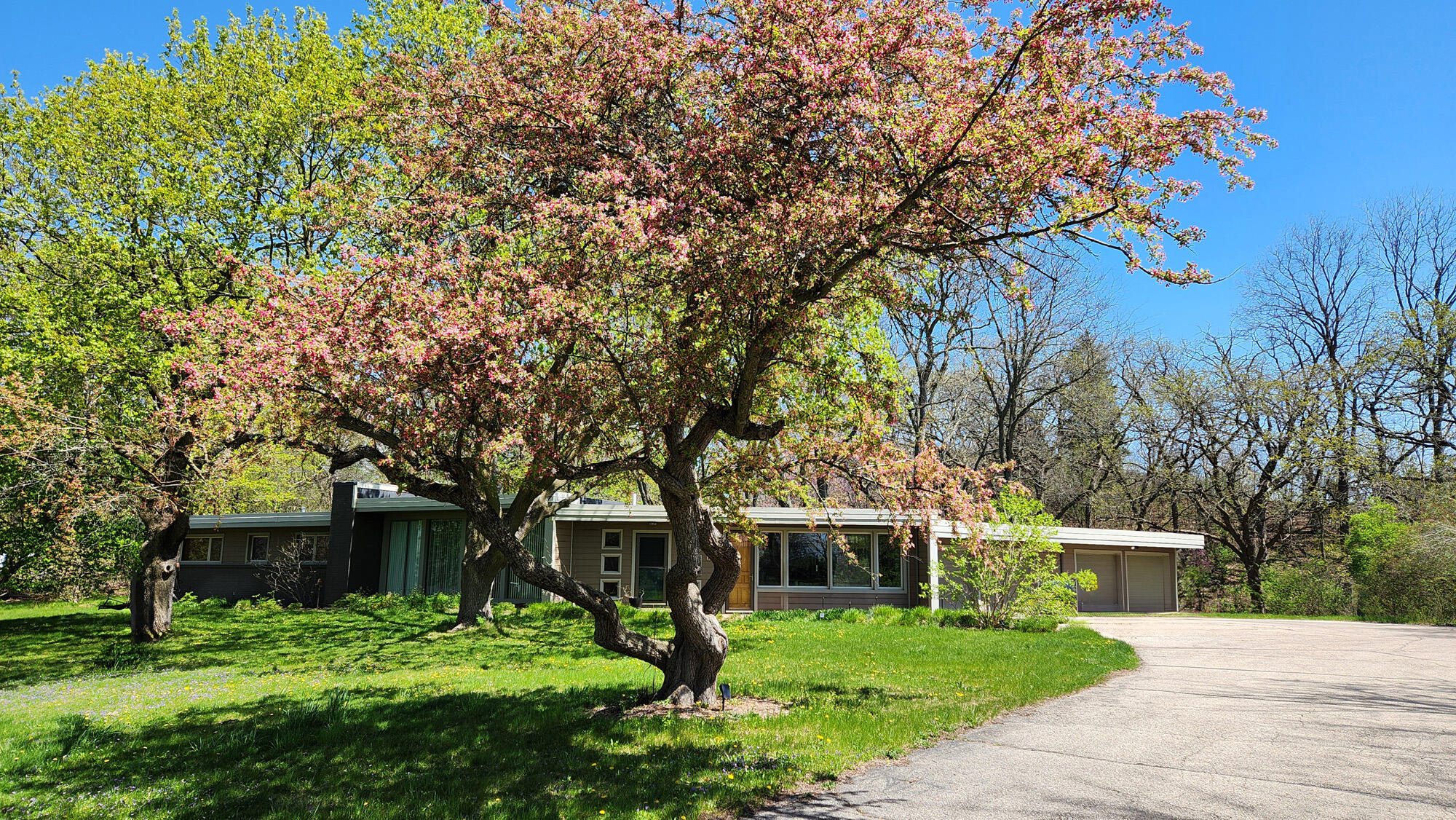 1009 Spring Valley Road Burlington, WI 53105 - Photo 45 of 49 You'll find flowering trees and native perennials on the property.