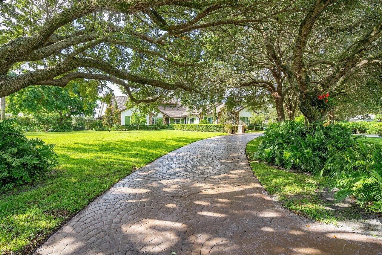 8203 Sawpine Road Delray Beach, FL 33446 - Photo 3 of 82 Canopy trees circluar driveway