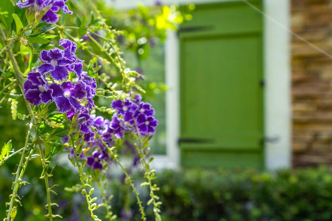 8203 Sawpine Road Delray Beach, FL 33446 - Photo 66 of 82 Garden