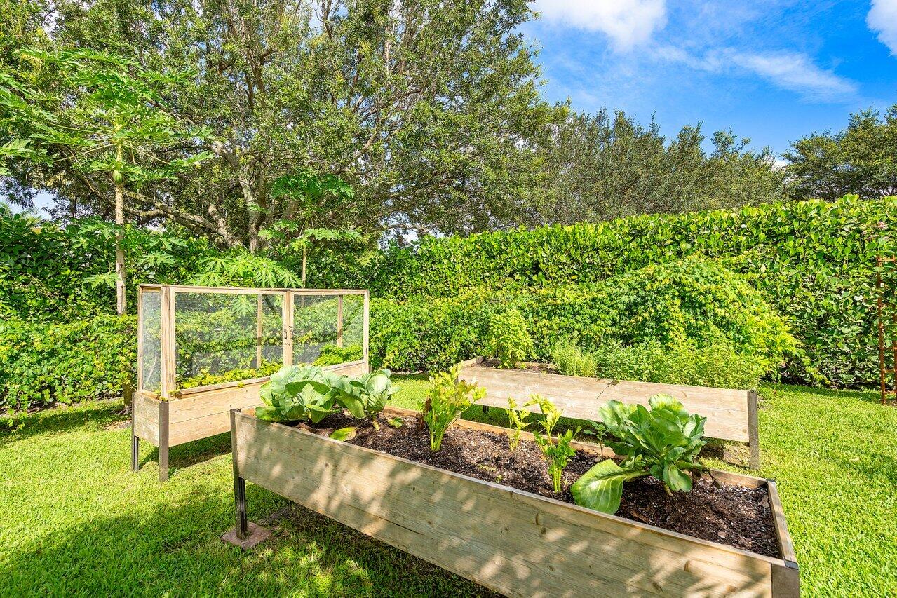 8203 Sawpine Road Delray Beach, FL 33446 - Photo 67 of 82 Vegetable Garden