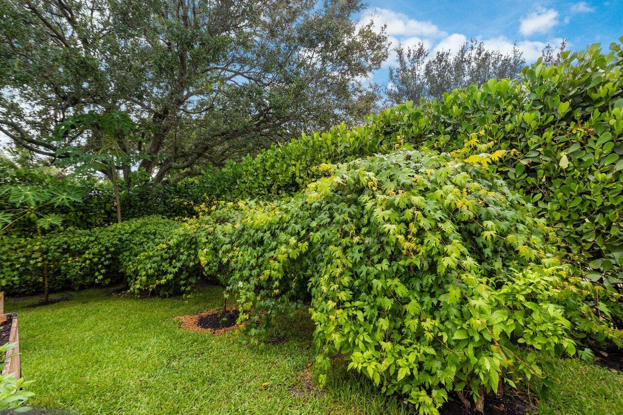 8203 Sawpine Road Delray Beach, FL 33446 - Photo 72 of 82 Grape Vine