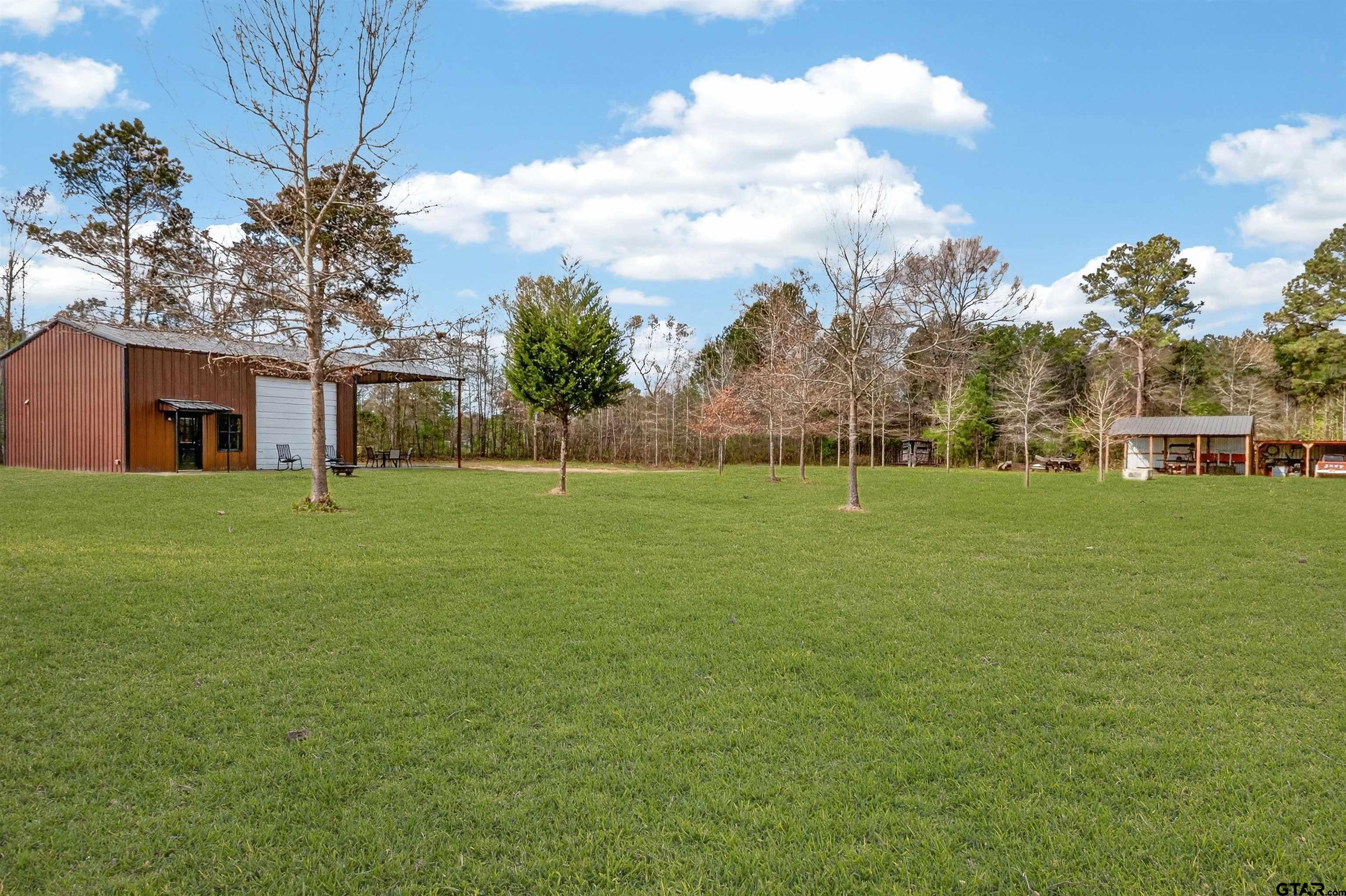 1470 Driskell Bridge Road Harleton, TX 75651 - Photo 22 of 38