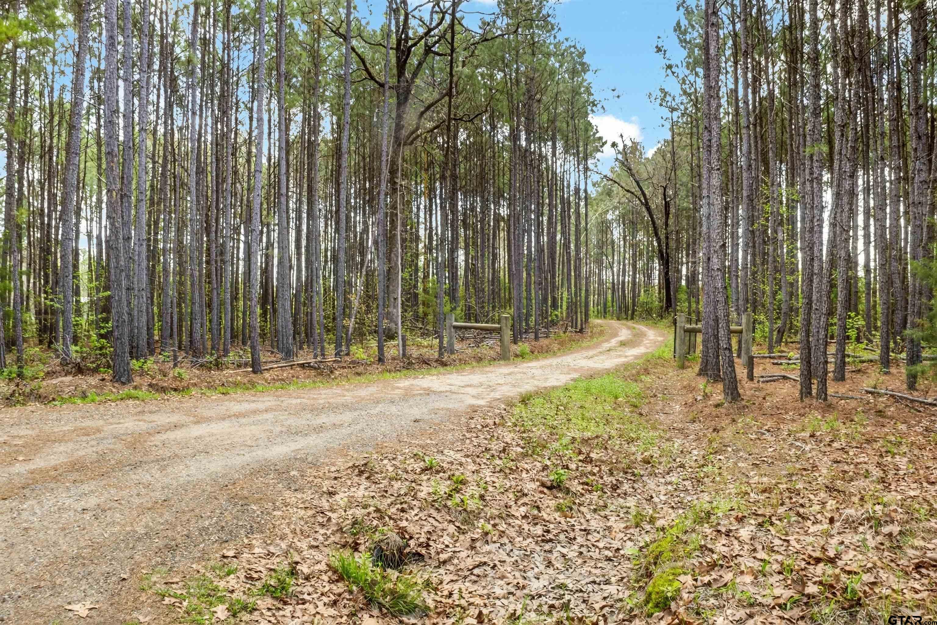 1470 Driskell Bridge Road Harleton, TX 75651 - Photo 25 of 38